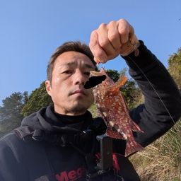 ガシラ