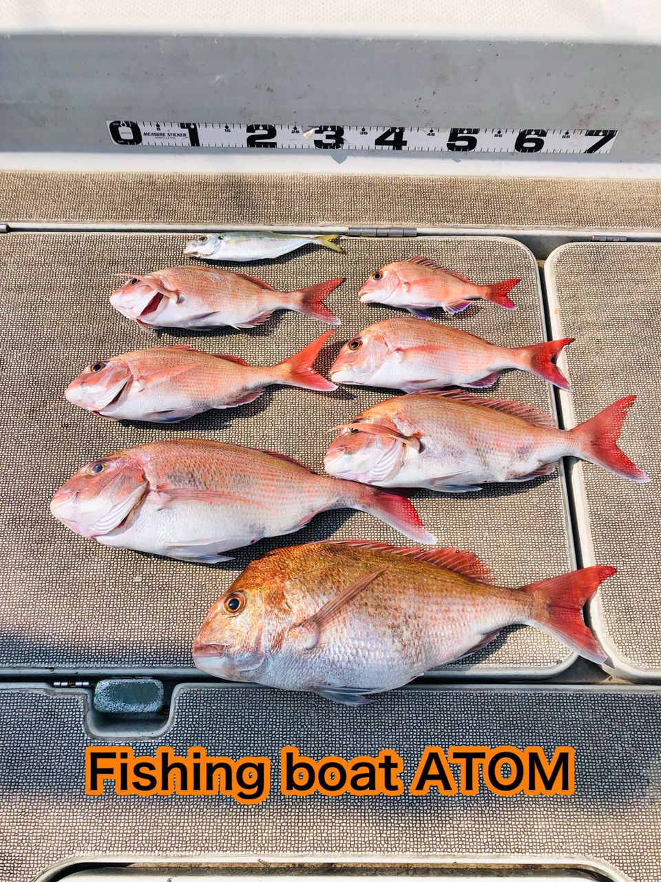 fishingboat.atomさんの釣果 2枚目の画像