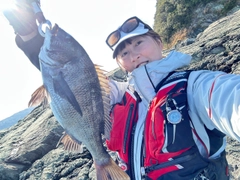 チヌの釣果