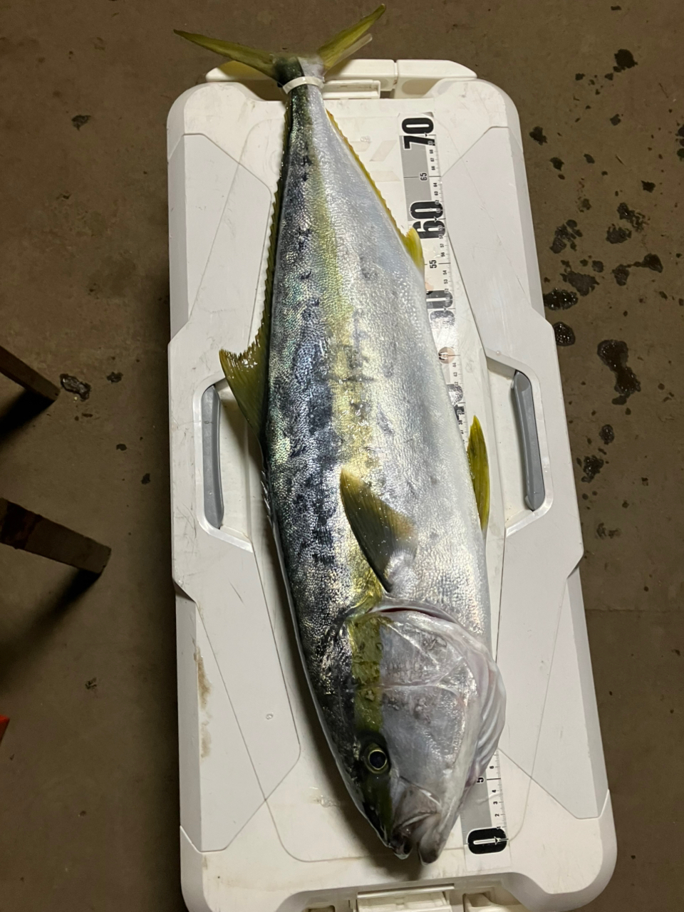 SHIMANO 19グラップラー タイプJ スピニング S60-4の最安値