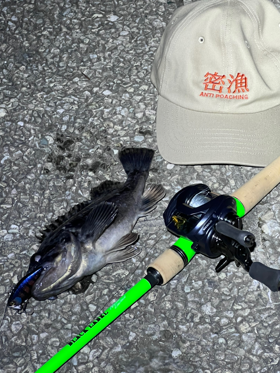 DAIWA 21ブラックレーベル トラベル N C63MH-5・FRの最安値