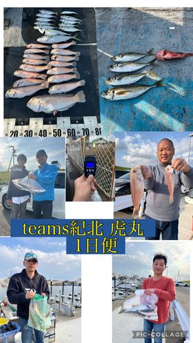 シロアマダイの釣果