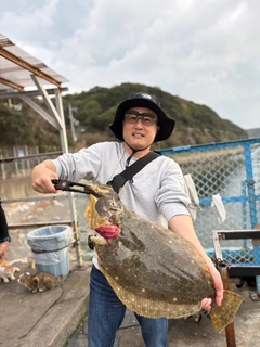 ヒラメの釣果