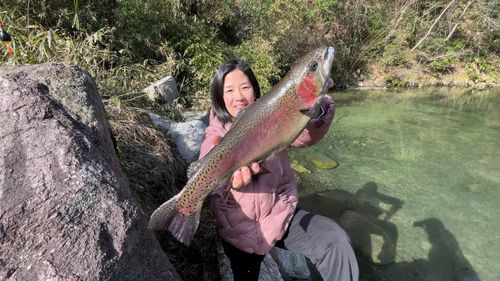 トラウトサーモンの釣果