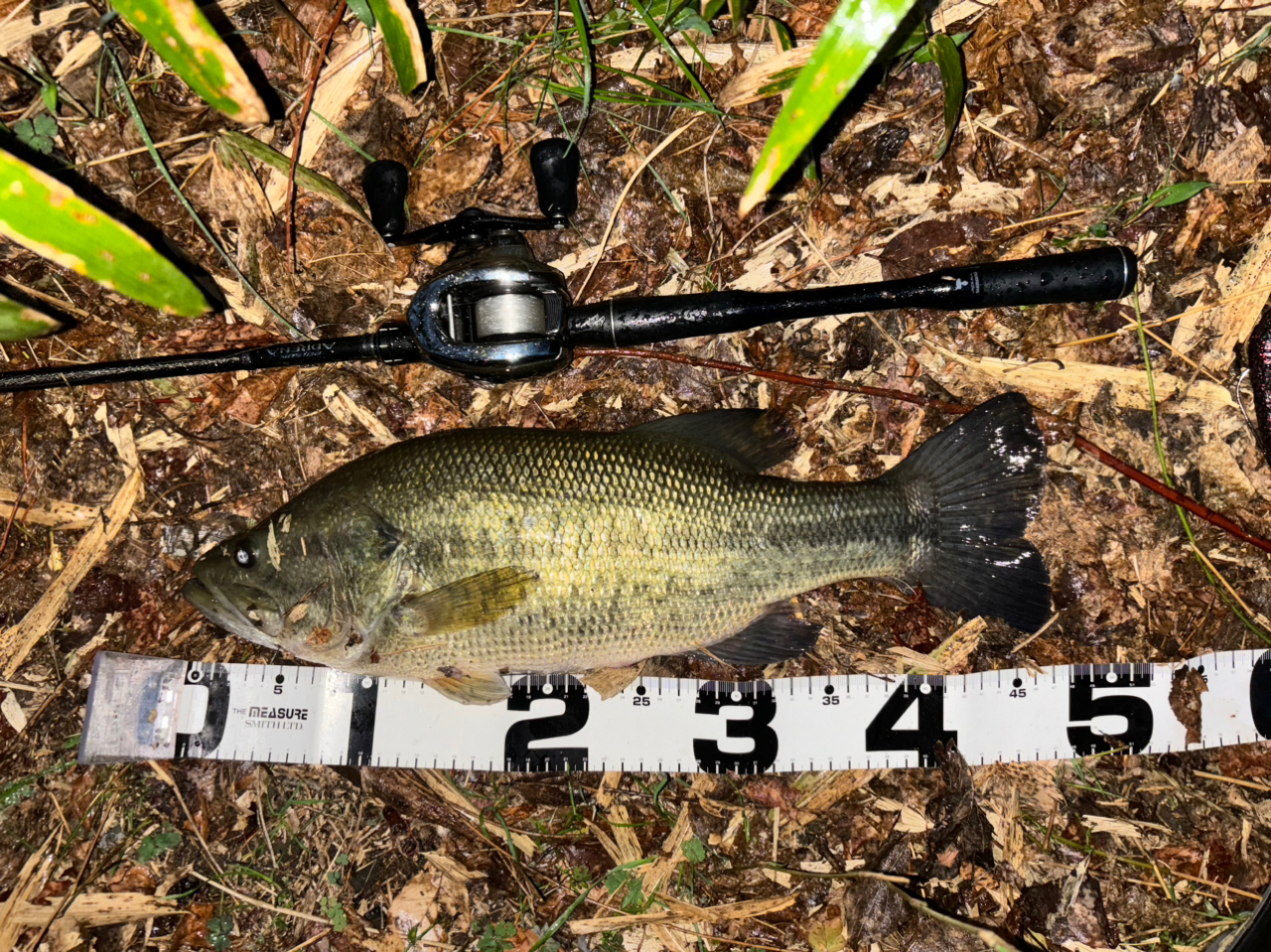 SHIMANO 18ポイズン アドレナ 173MH-2の最安値・インプレ・釣果 SHIMANO 18ポイズン アドレナ 173MH-2の最安値・インプレ・釣果