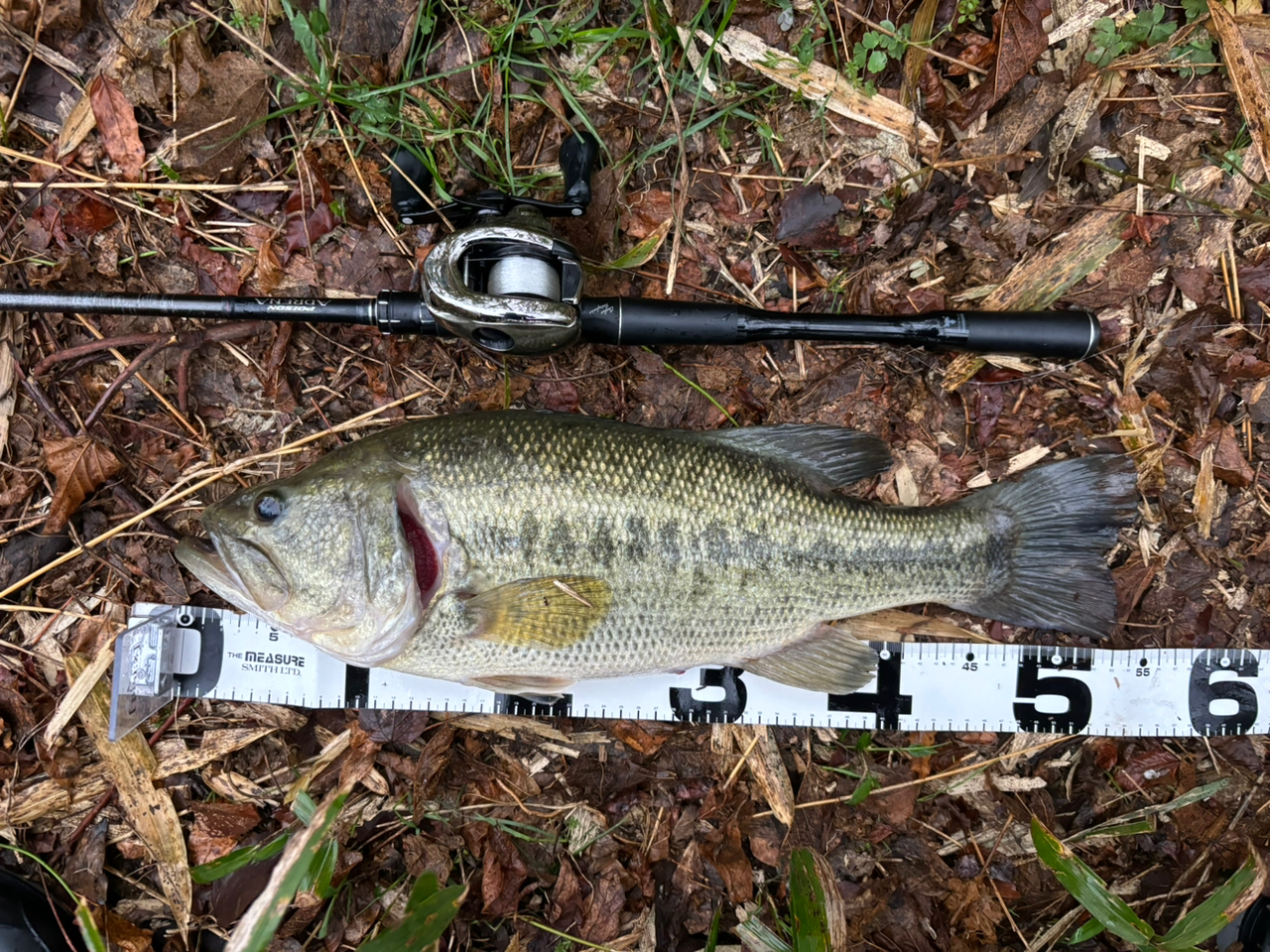 SHIMANO 18ポイズン アドレナ 173MH-2の最安値・インプレ・釣果