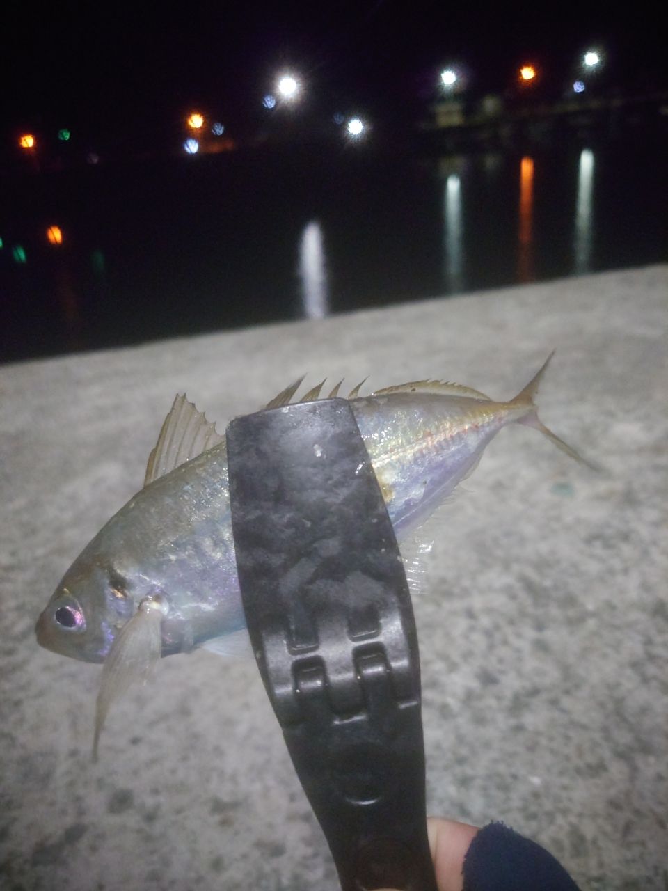 アジ