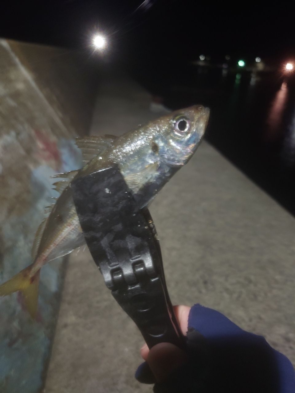 アジ