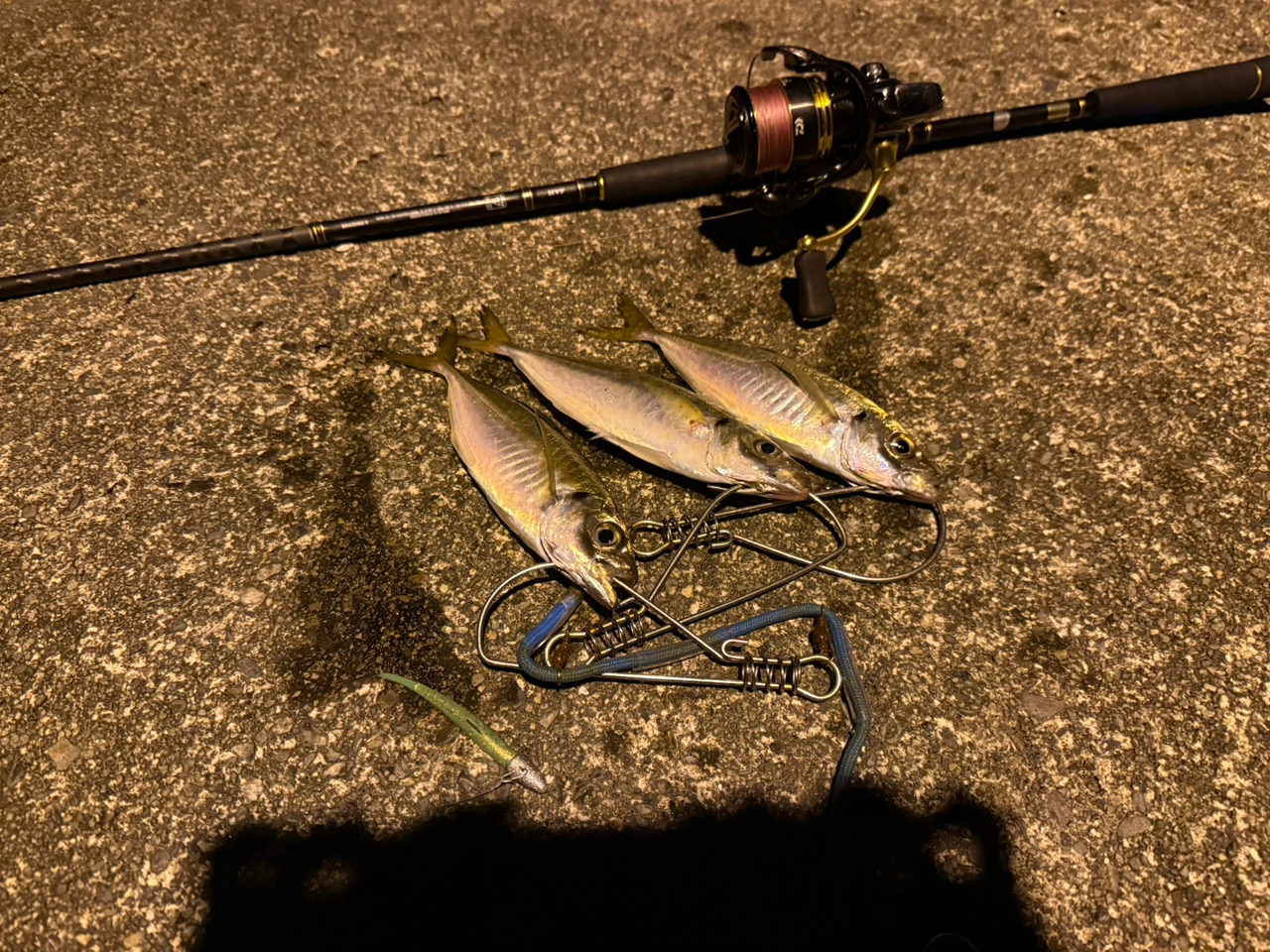 DAIWA 21シーバスハンター X 90ML・Rの最安値・インプレ・釣果