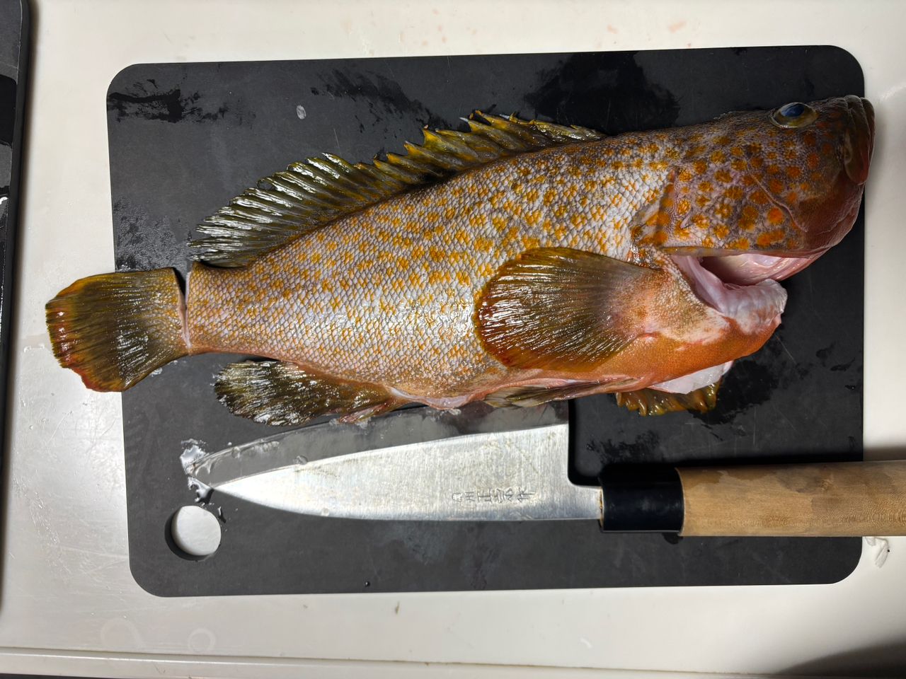 MajorCraft 17ジャイアントキリング ジギングモデル GXJ-S63Hの最安値