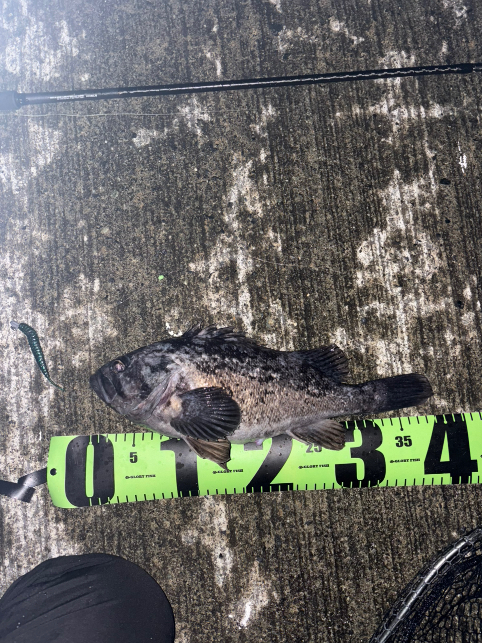 SHIMANO 21ハードロッカー エクスチューン S78MHの最安値