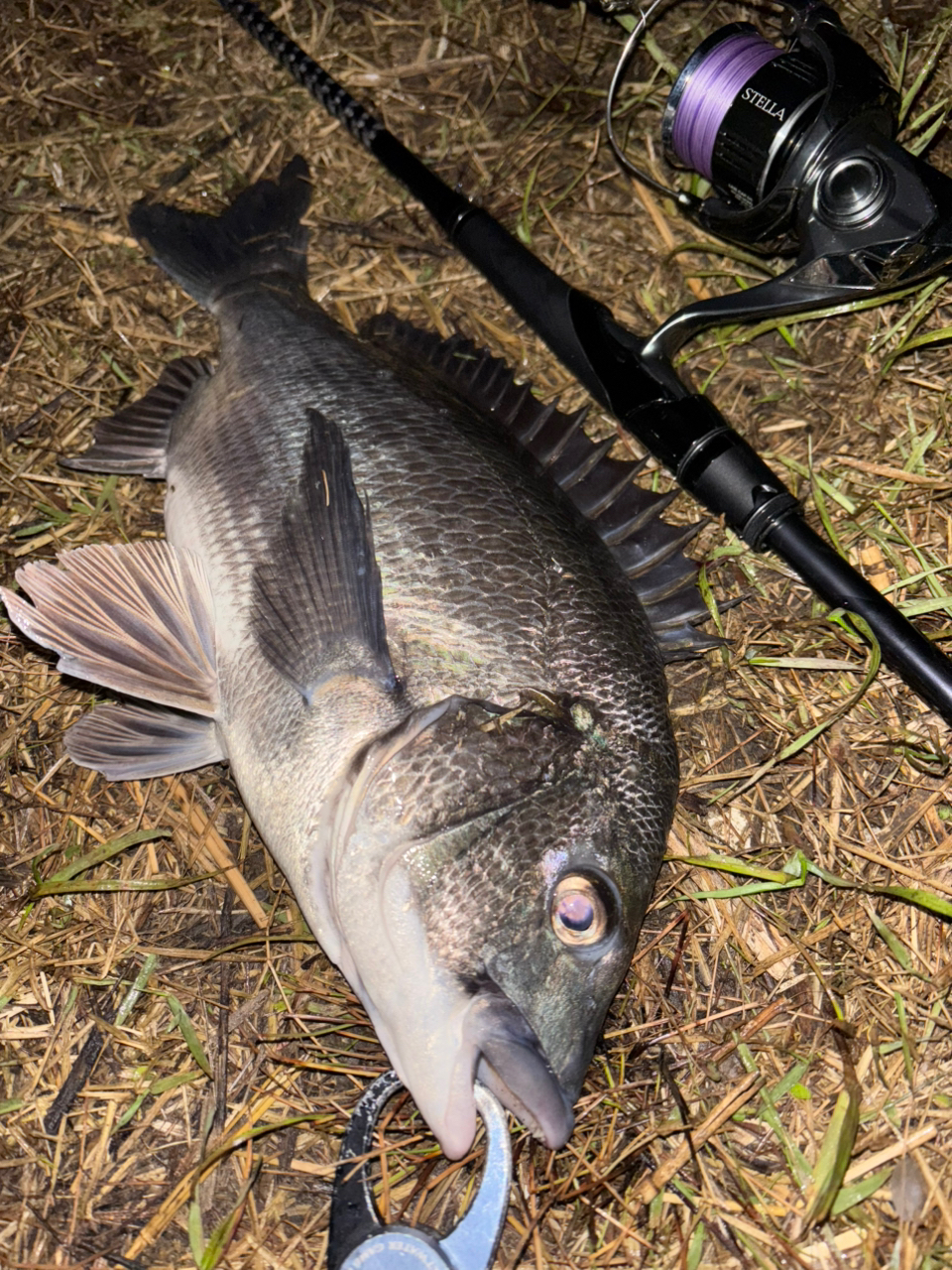 SHIMANO 22エクスセンス ∞ (インフィニティ) S96Mの最安値