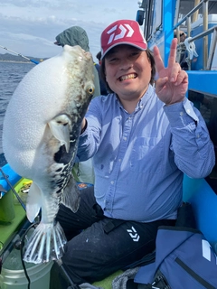 トラフグの釣果
