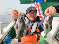 クロメバルの釣果