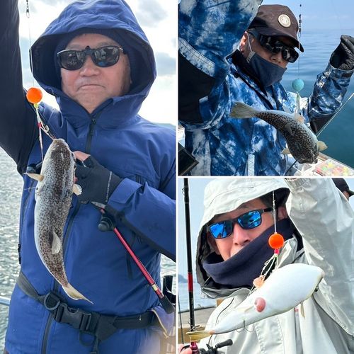 ショウサイフグの釣果