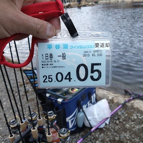 ニジマスの釣果