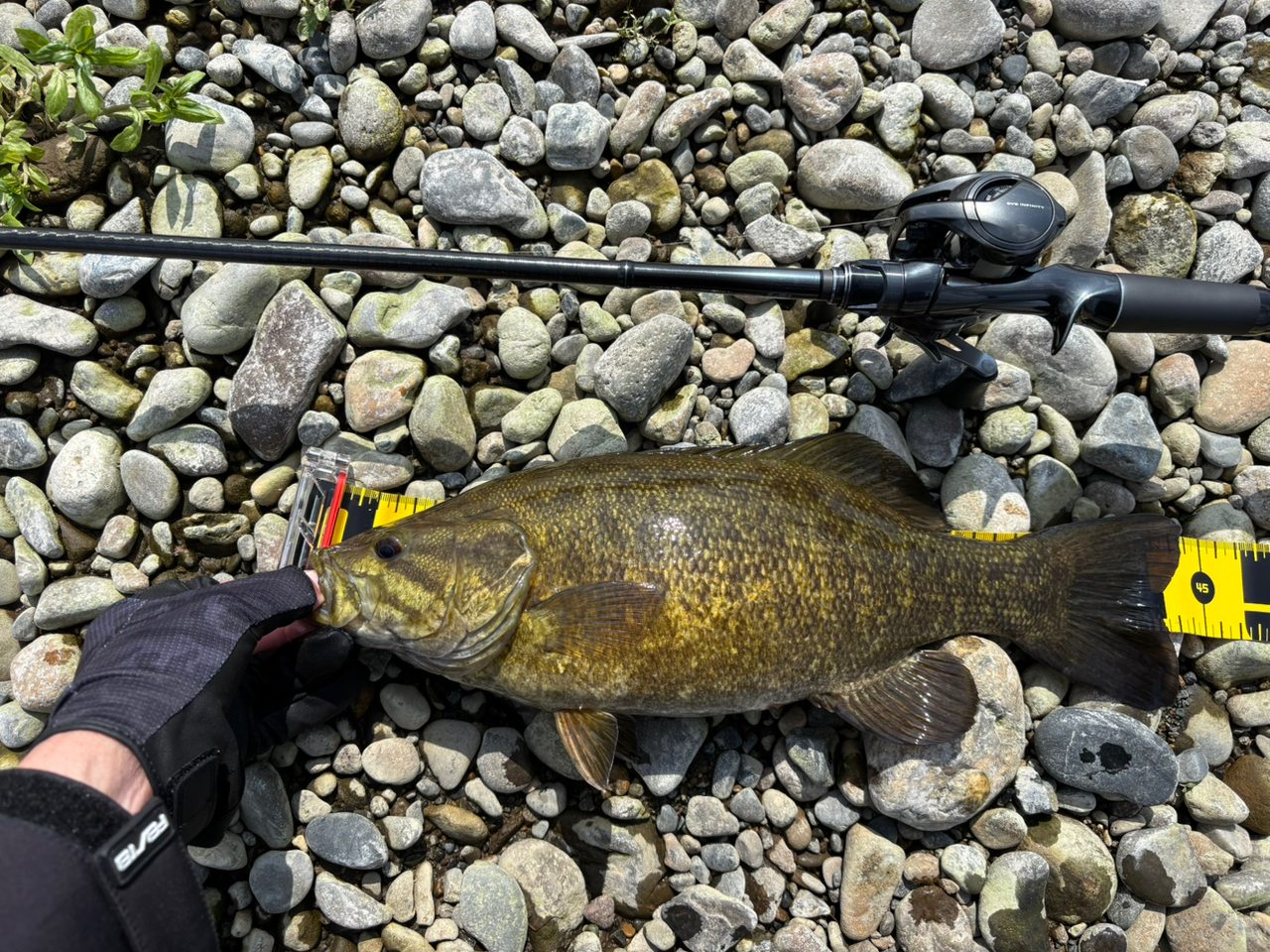 SHIMANO 21ポイズングロリアス 1611ML/Hの最安値・インプレ