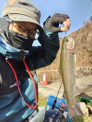 ニジマスの釣果