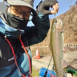 ニジマス