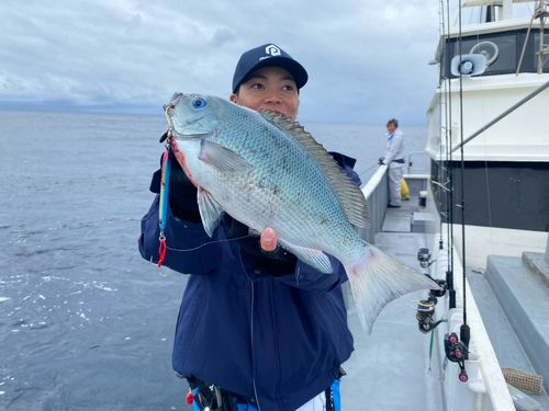 クチブトグレの釣果