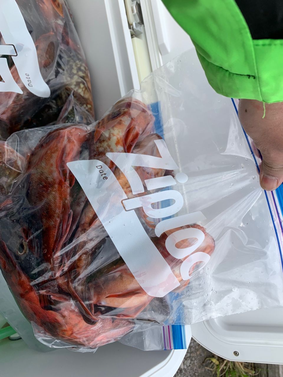 カワハギ133さんの釣果 3枚目の画像