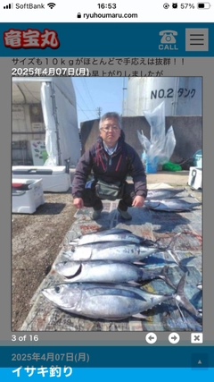 ビンチョウマグロの釣果