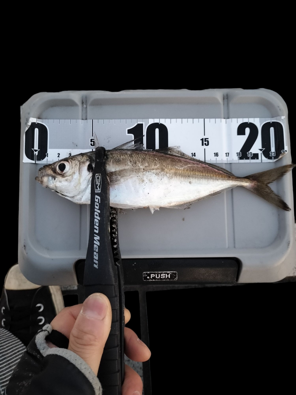 AbuGarcia ソルティーステージ プロトタイプ アジング XAJS