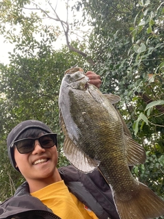 スモールマウスバスの釣果