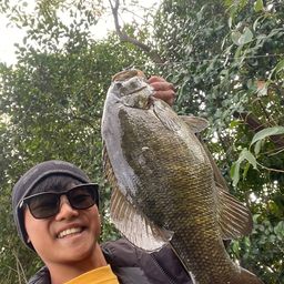 スモールマウスバス