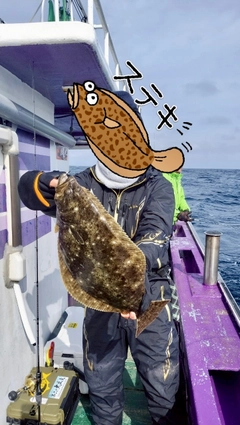 ヒラメの釣果