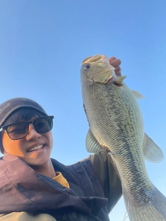 ラージマウスバスの釣果