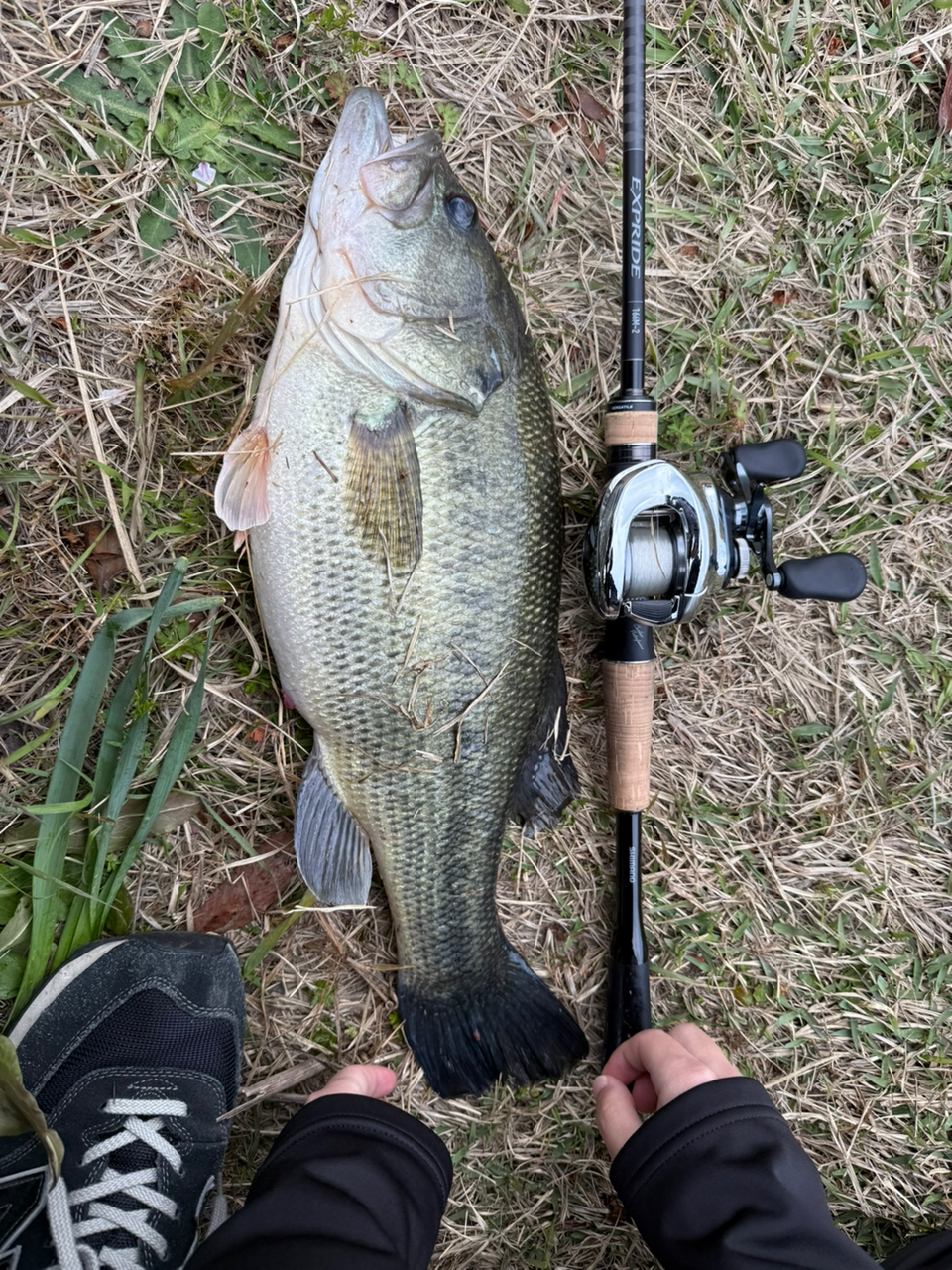 SHIMANO 22エクスプライド 166M-2の最安値・インプレ・釣果