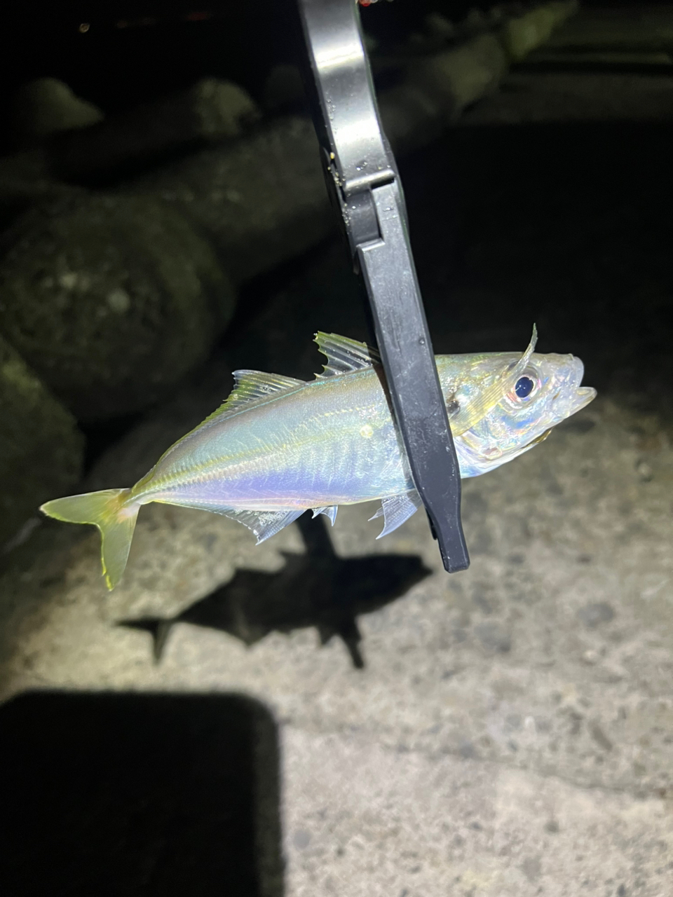 SHIMANO 22ソアレ SS アジング S58UL-Sの最安値・インプレ・釣果