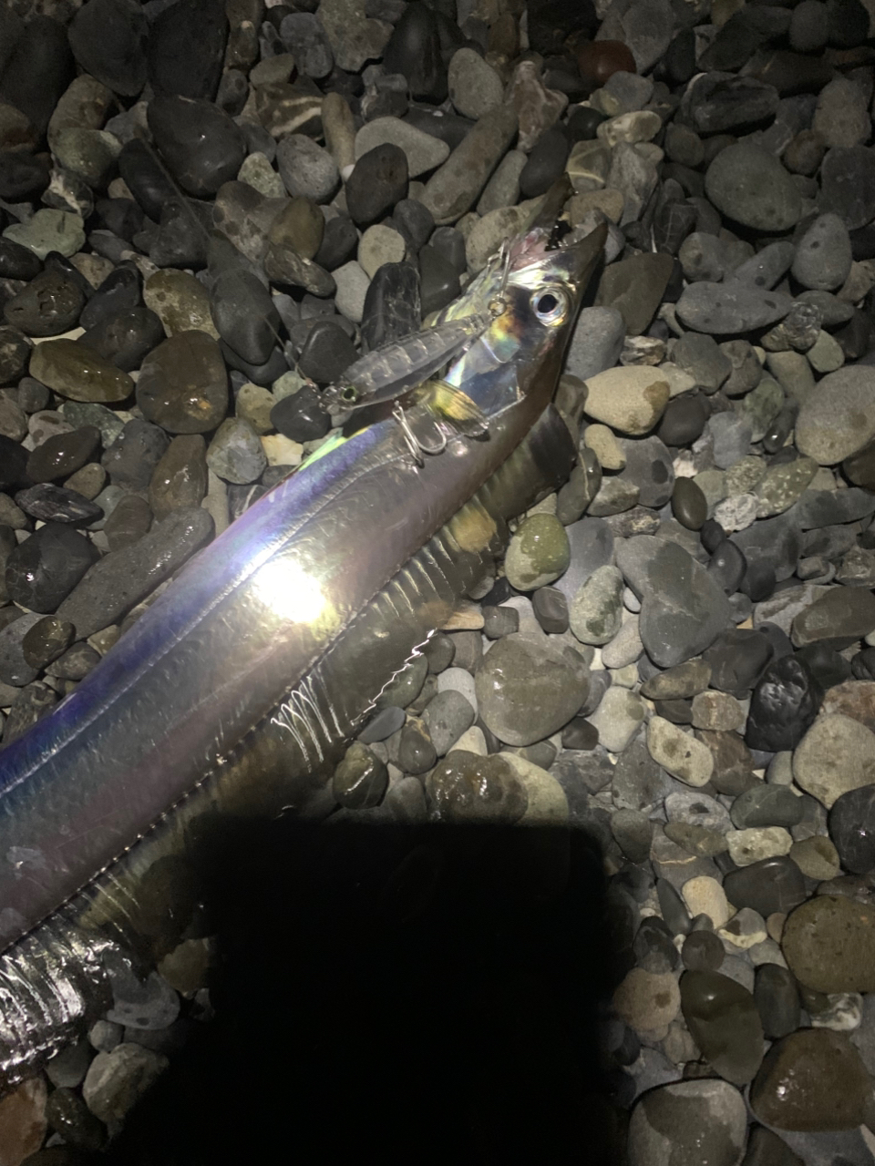 SHIMANO 19ソルティーアドバンス SHORE JIGGING S100MHの最安値