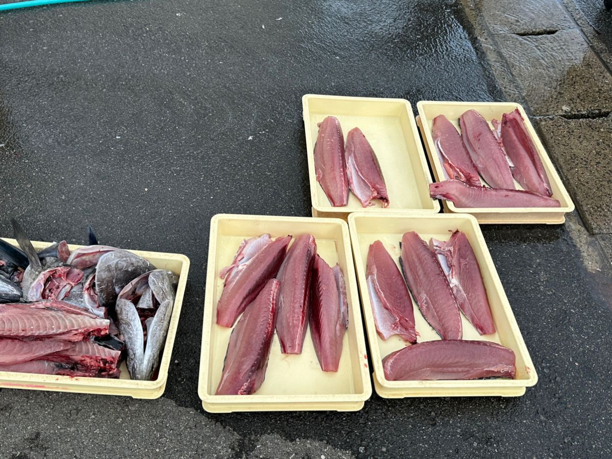 デコる水産部隊さんの釣果 2枚目の画像