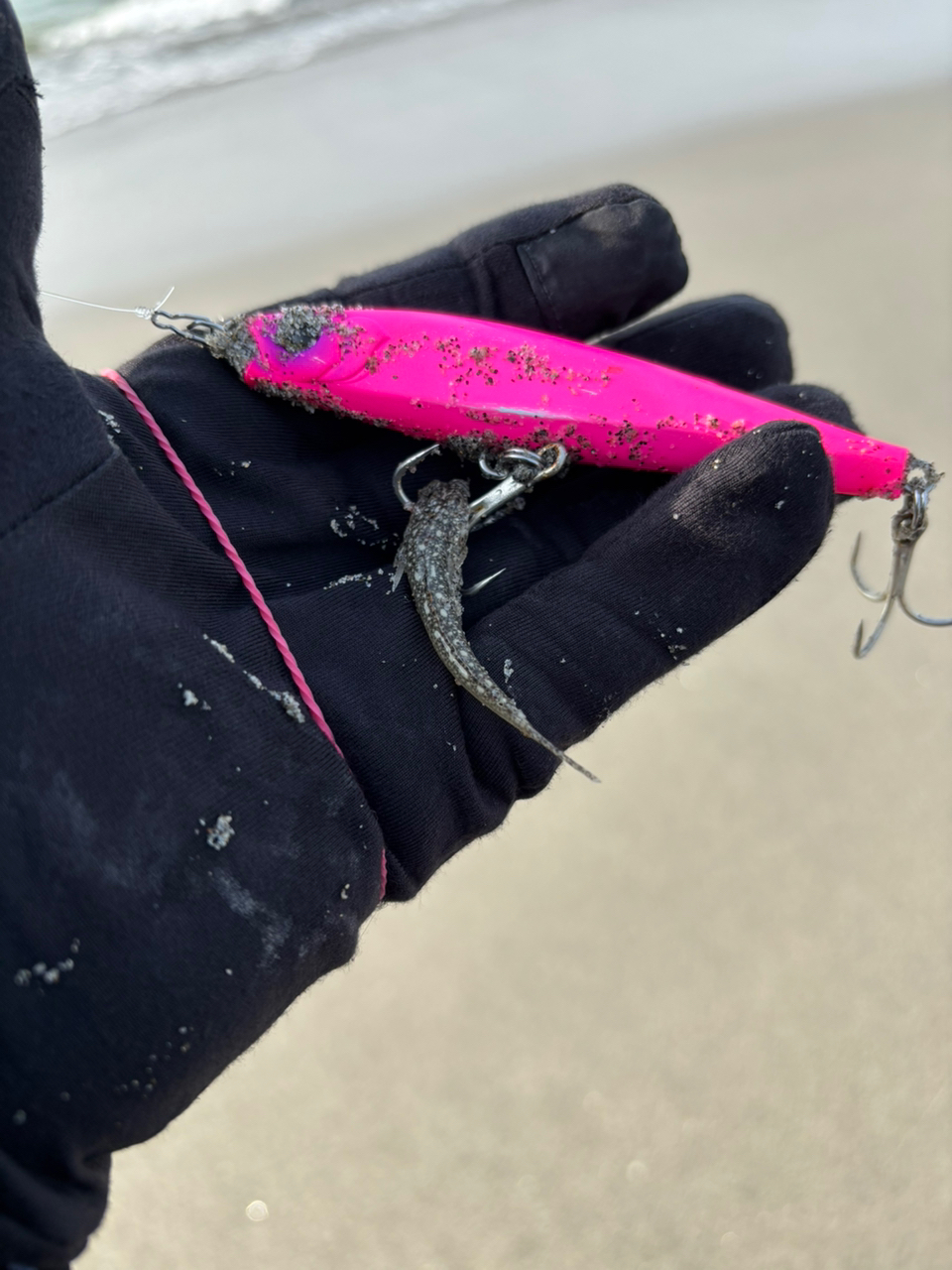 SHIMANO 20ヴァンフォード 4000XGの最安値・インプレ・釣果
