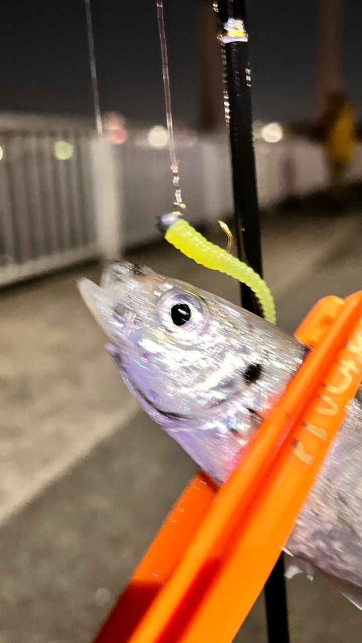 アジ