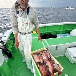 マダイ