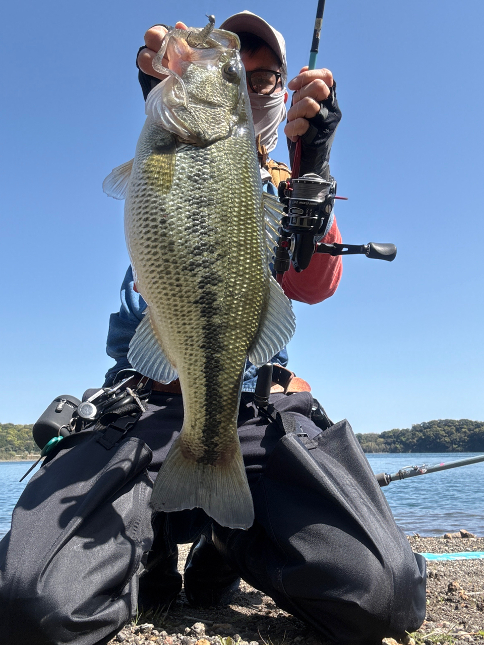 AbuGarcia バスバムの最安値・インプレ・釣果 | 本音の口コミが