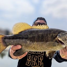 スモールマウスバス