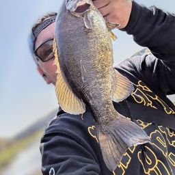 スモールマウスバス