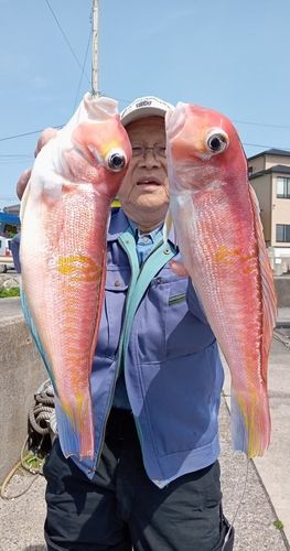 アマダイの釣果