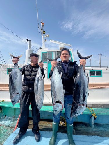 ビンチョウマグロ