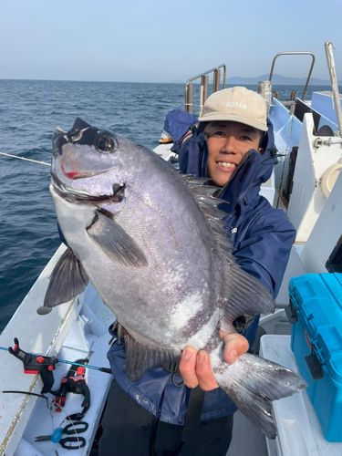 宇崎日新　プロスペック　海上釣堀　際釣り　（並継）210　カブセ釣 宇崎日新 海上釣堀竿 プロスペック海上釣堀 際釣 260 並継
