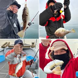 ショウサイフグ