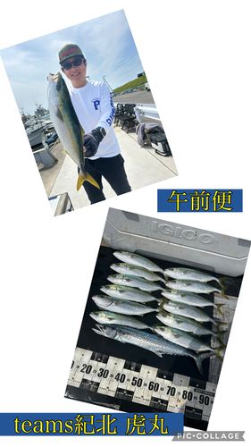 シロアマダイの釣果