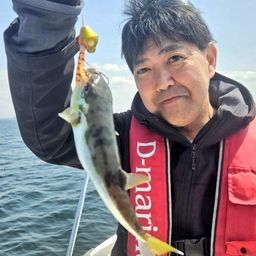 シロサバフグ