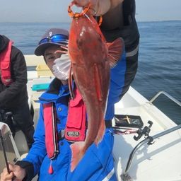 カナガシラ