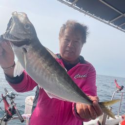 アジ