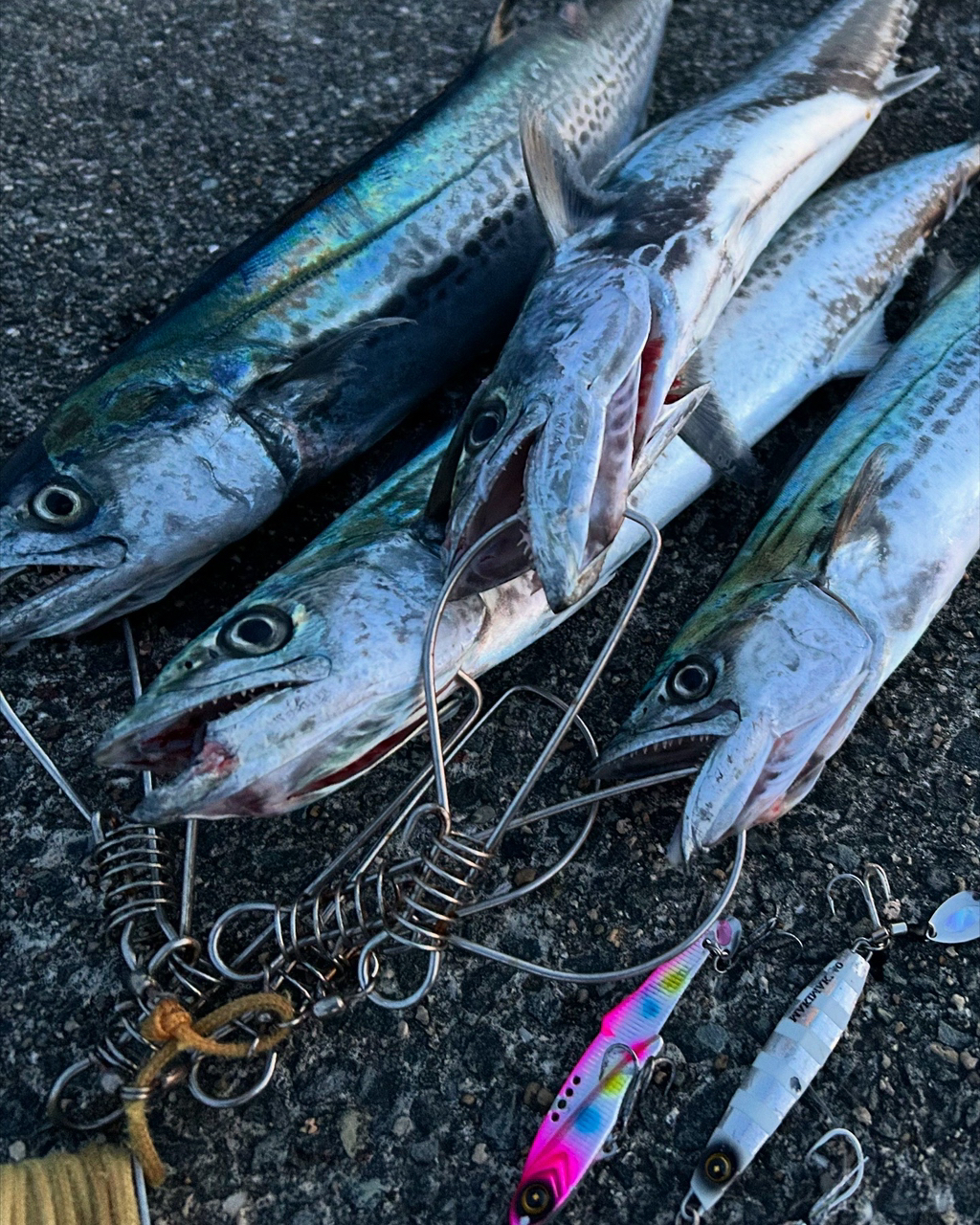 SHIMANO 18ディアルーナ S106Mの最安値・インプレ・釣果 | 本音